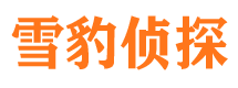 通州区调查事务所